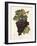 Nador Grape-A. Kreyder-Framed Giclee Print