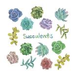 Watercolor Succulents Seamless Pattern-Nadydy-Framed Stretched Canvas