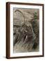 Brown Frame