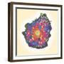 Naegleria Fowleri Protozoan, TEM-null-Framed Premium Photographic Print