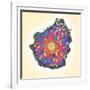 Naegleria Fowleri Protozoan, TEM-null-Framed Photographic Print