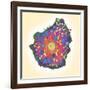 Naegleria Fowleri Protozoan, TEM-null-Framed Photographic Print