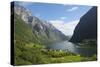 Naeroyfjorden, Near Bakka, Sogn Og Fjordane, UNESCO World Heritage Site, Norway-Gary Cook-Stretched Canvas