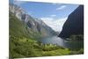 Naeroyfjorden, Near Bakka, Sogn Og Fjordane, UNESCO World Heritage Site, Norway-Gary Cook-Mounted Photographic Print