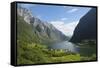 Naeroyfjorden, Near Bakka, Sogn Og Fjordane, UNESCO World Heritage Site, Norway-Gary Cook-Framed Stretched Canvas