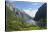 Naeroyfjorden, Near Bakka, Sogn Og Fjordane, UNESCO World Heritage Site, Norway-Gary Cook-Stretched Canvas