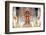 Naga Dragons on the Main Bot of the Temple of Wat Chedi Luang, Chiang Mai, Thailand-Alex Robinson-Framed Photographic Print