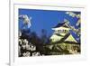 Nagahama, Japan Museum of History-NicholasHan-Framed Photographic Print