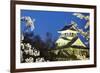 Nagahama, Japan Museum of History-NicholasHan-Framed Photographic Print