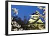 Nagahama, Japan Museum of History-NicholasHan-Framed Photographic Print