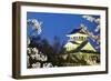 Nagahama, Japan Museum of History-NicholasHan-Framed Photographic Print