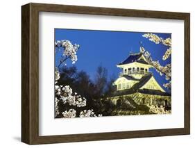 Nagahama, Japan Museum of History-NicholasHan-Framed Photographic Print