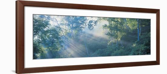 Nagano Japan-null-Framed Photographic Print