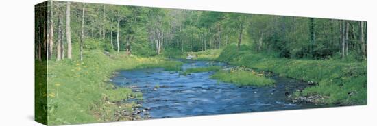 Nagase River Bandai Kogen Fukushima Japan-null-Stretched Canvas