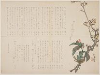 Plum and Camellia Branches, 1829-Nagayama K?choku-Framed Stretched Canvas