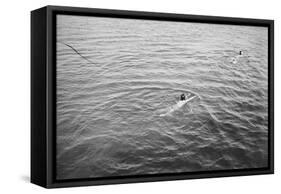 Nageur-null-Framed Stretched Canvas