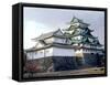 Nagoya Castle, Aichi, Japan-null-Framed Stretched Canvas