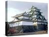 Nagoya Castle, Aichi, Japan-null-Stretched Canvas