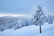 Beautiful winter landscape in Vladeasa mountains, Transylvania, Romania, Europe-Nagy Melinda-Photographic Print