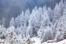 Beautiful winter landscape in Vladeasa mountains, Transylvania, Romania, Europe-Nagy Melinda-Photographic Print
