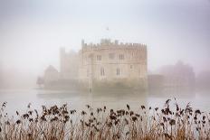 Foggy day in the park surrounding Leeds Castle, Kent, England, United Kingdom, Europe-Nagy Melinda-Photographic Print