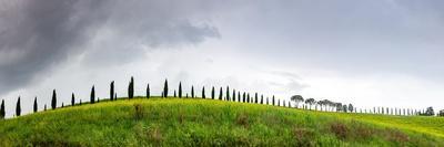 Green landscape with cypress trees and rolling hills, Tuscany, Italy, Europe-Nagy Melinda-Photographic Print