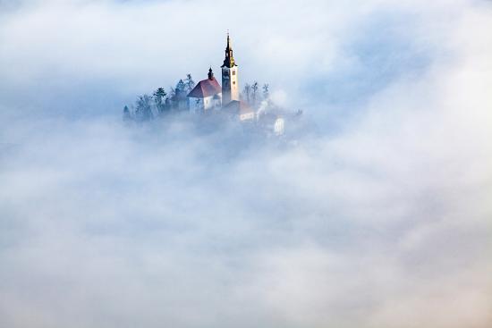 Premium Photographic Print, , large