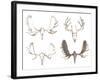 Nahanni-Sandra Jacobs-Framed Giclee Print