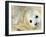 Nahia, a Five-Day-Old Grey Baby Seal, is Seen at the Biarritz Sea Museum-null-Framed Premium Photographic Print