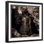 Naiad-Lydia Marano-Framed Photographic Print