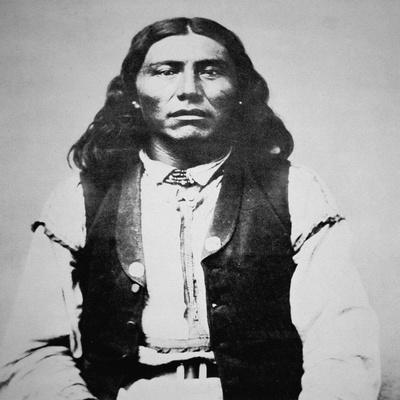 https://imgc.allpostersimages.com/img/posters/naiche-d-1874-chief-of-the-chiricahua-apaches-of-arizona-b-w-photo_u-L-PG9C3P0.jpg?artPerspective=n