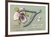 Nail Clippers Advertistement-null-Framed Art Print