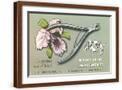 Brown Frame