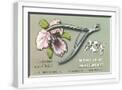 White Frame