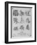 Nail Making-null-Framed Giclee Print