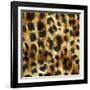 Nairobi Square I-Nicholas Biscardi-Framed Art Print