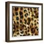 Nairobi Square I-Nicholas Biscardi-Framed Art Print