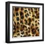 Nairobi Square I-Nicholas Biscardi-Framed Art Print