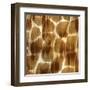 Nairobi Square III-Nicholas Biscardi-Framed Art Print