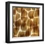 Nairobi Square III-Nicholas Biscardi-Framed Art Print