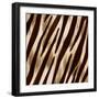 Nairobi Square IV-Nicholas Biscardi-Framed Premium Giclee Print