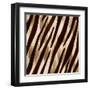 Nairobi Square IV-Nicholas Biscardi-Framed Art Print