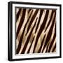 Nairobi Square IV-Nicholas Biscardi-Framed Art Print