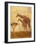 Nairobi-Patricia Pinto-Framed Premium Giclee Print