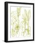 Naive Plants - Grow-Kristine Hegre-Framed Giclee Print