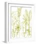 Naive Plants - Grow-Kristine Hegre-Framed Giclee Print