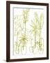 Naive Plants - Grow-Kristine Hegre-Framed Giclee Print