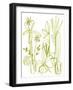 Naive Plants - Thrive-Kristine Hegre-Framed Giclee Print