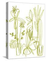 Naive Plants - Thrive-Kristine Hegre-Stretched Canvas