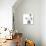 Naive Vases - Reflect-Kristine Hegre-Giclee Print displayed on a wall